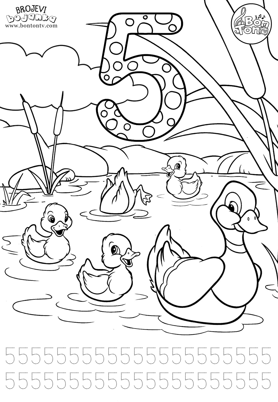 Broj 5 - pet - Brojevi od 1 do 10 - Number 5 - five  - Numbers 1-10 for kids