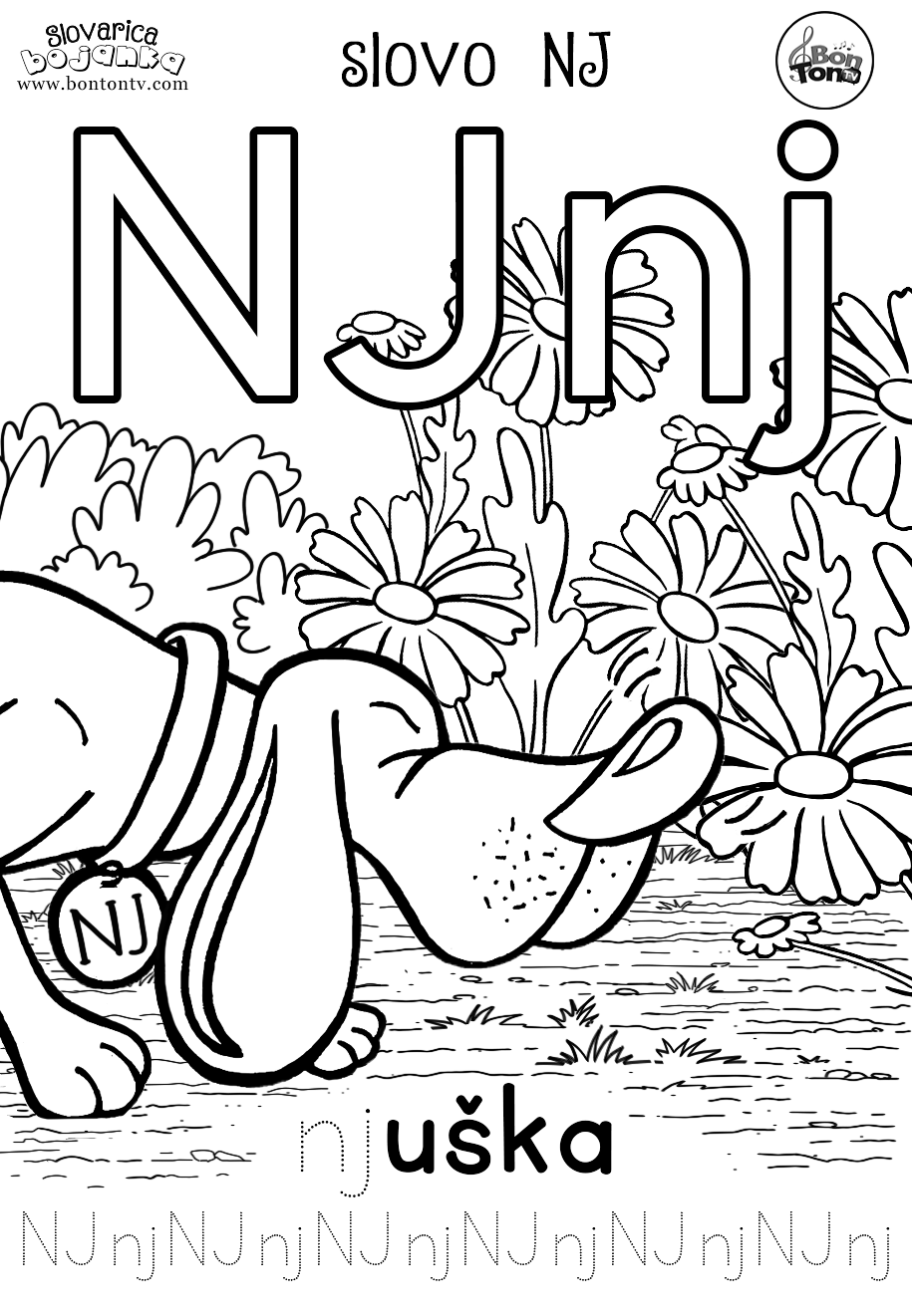 ABECEDA SLOVARICA - slovo NJ - BonTon TV