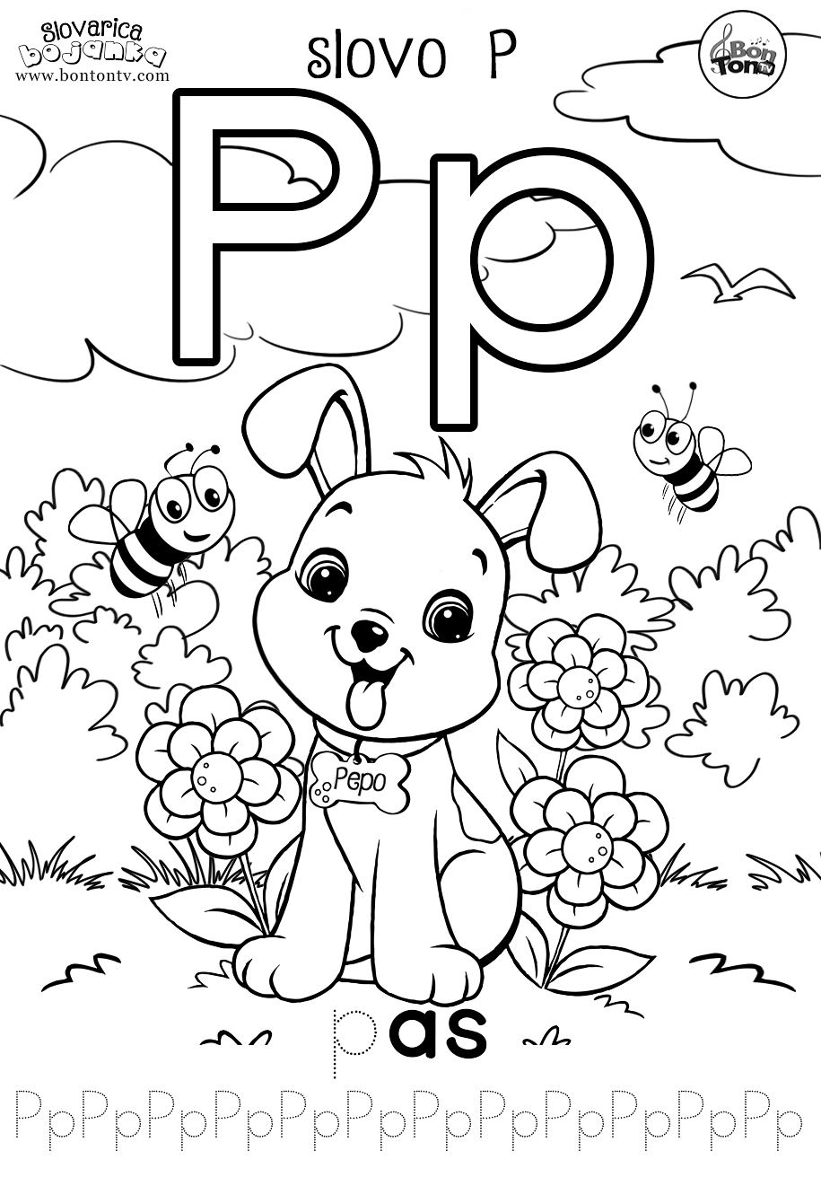 ABECEDA SLOVARICA - slovo P - BonTon TV - pas