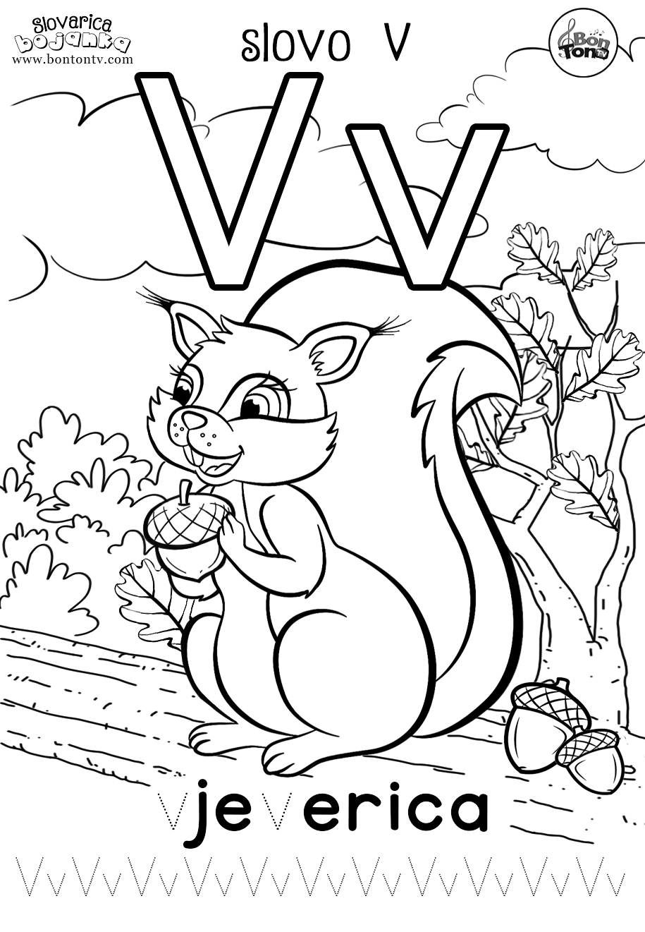 ABECEDA SLOVARICA - slovo V - BonTon TV - vjeverica